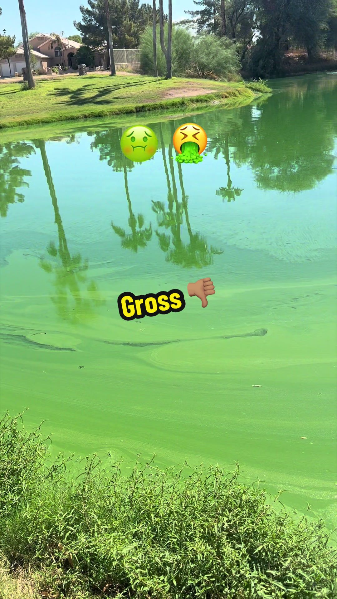 @Luu Nguyen Fishing