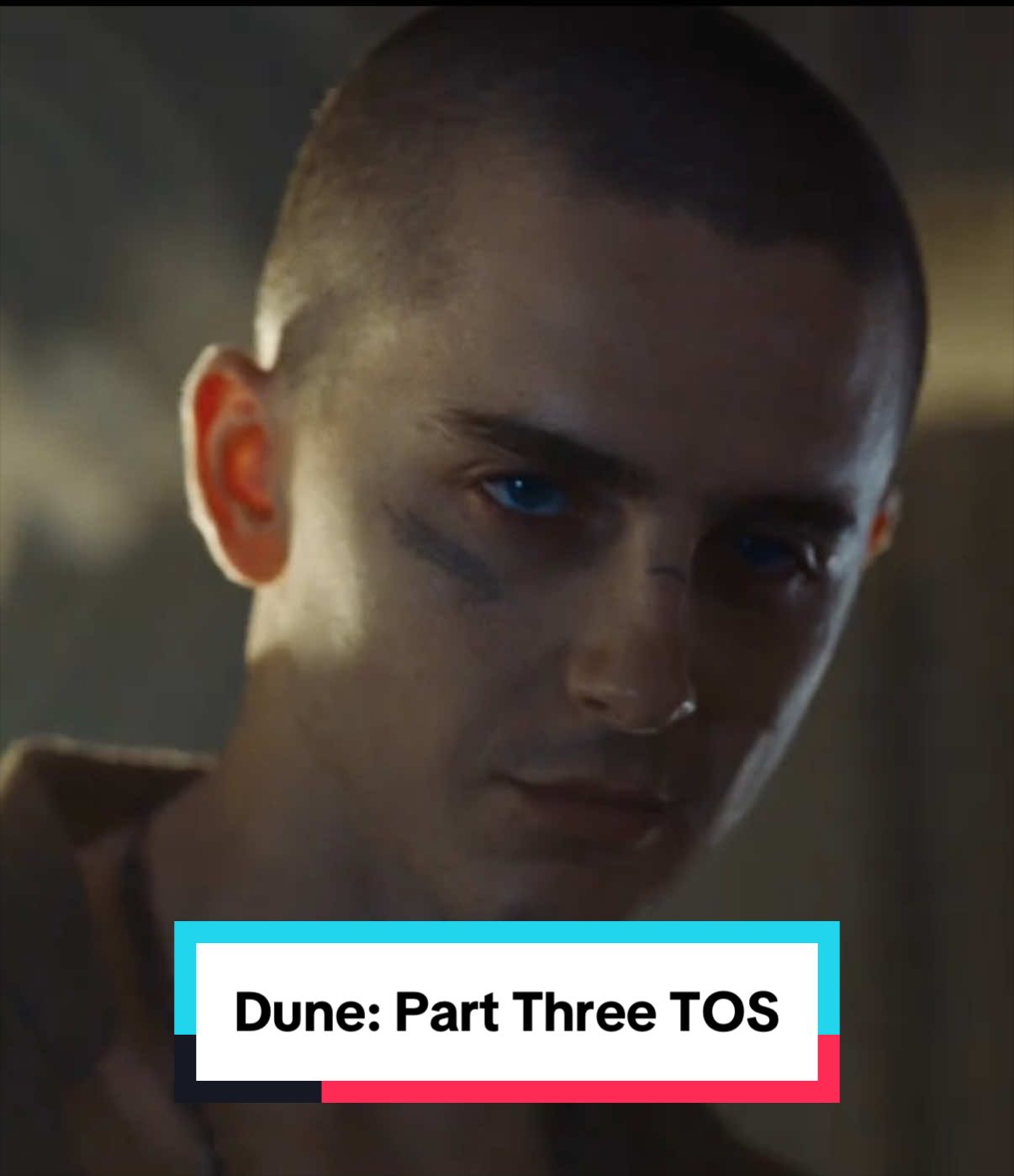 @Rotten Tomatoes