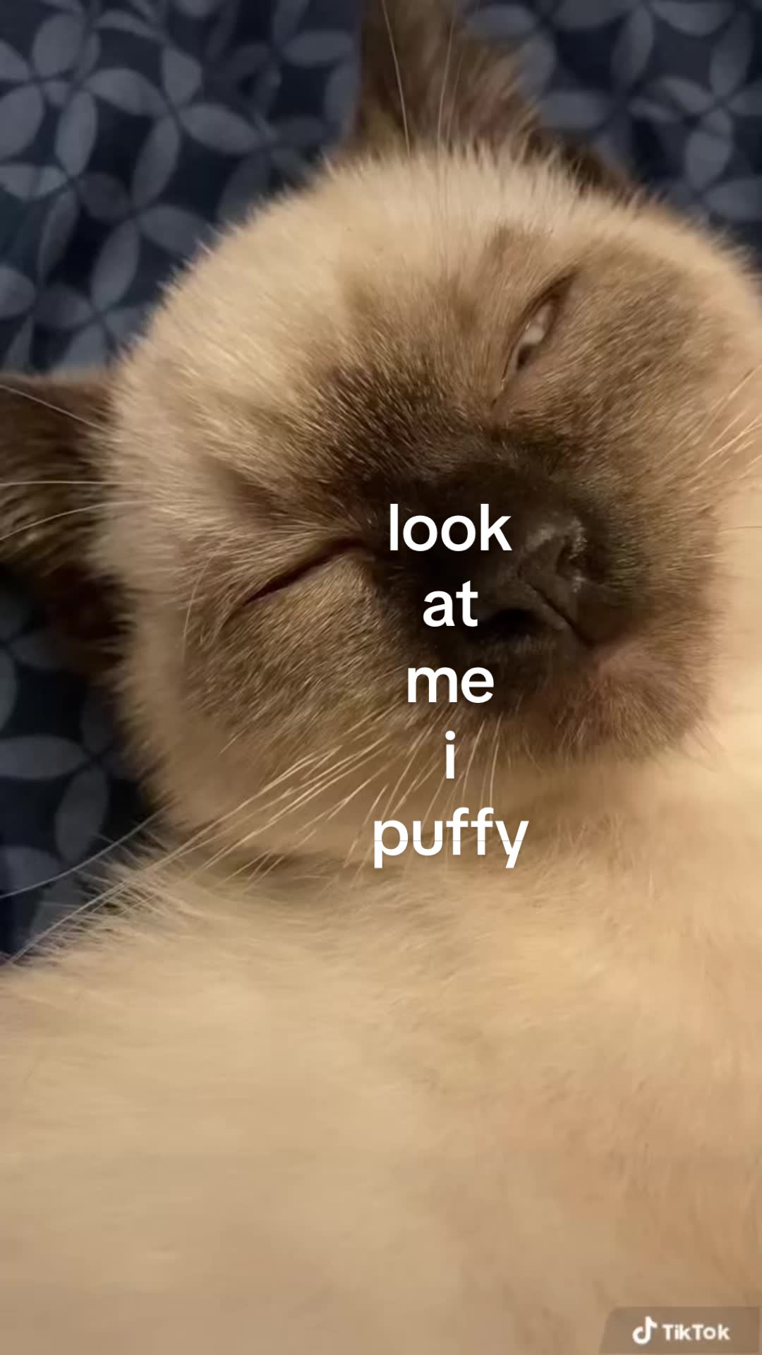 @adampuf