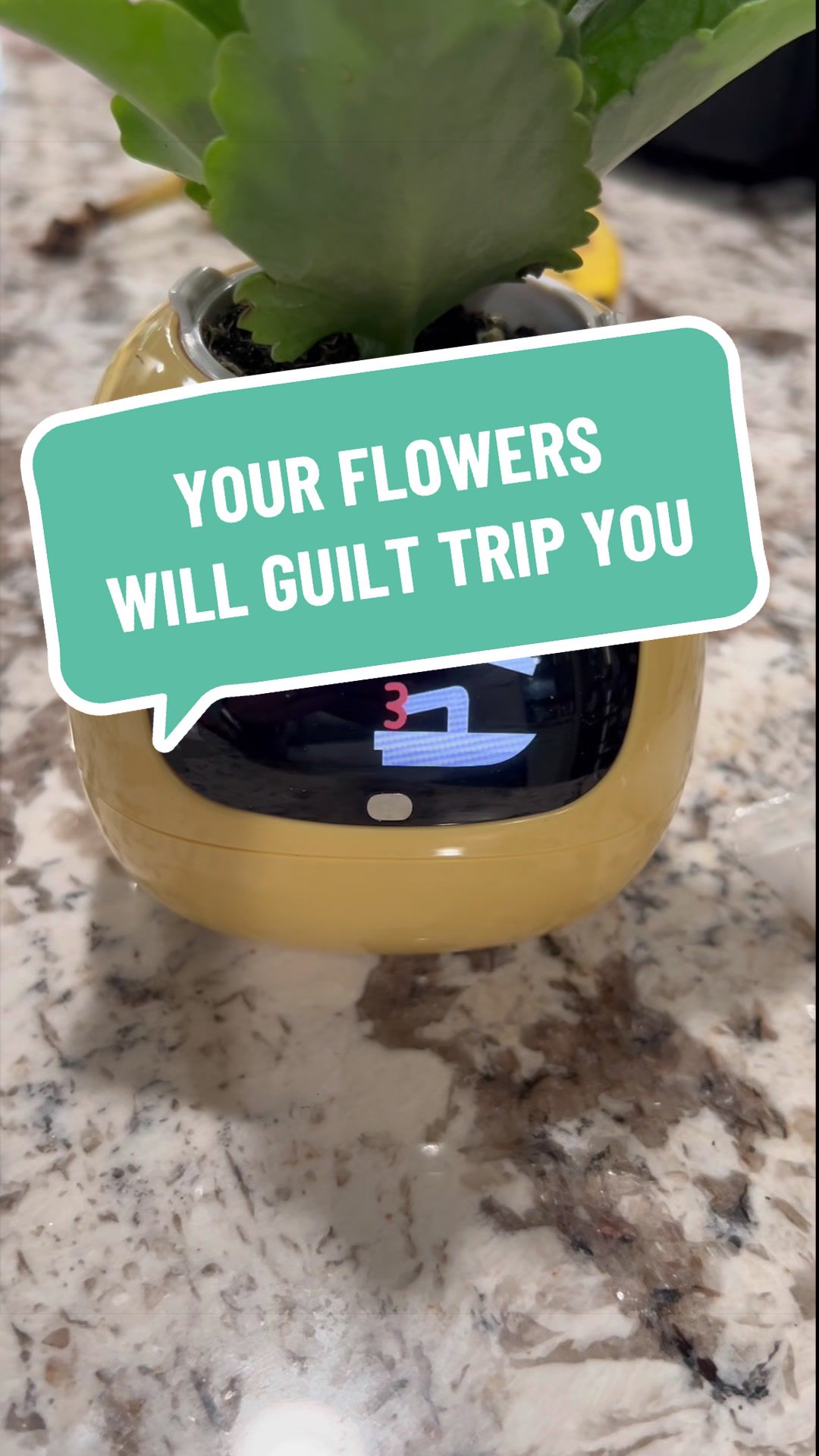 @ThreeLittleMingos