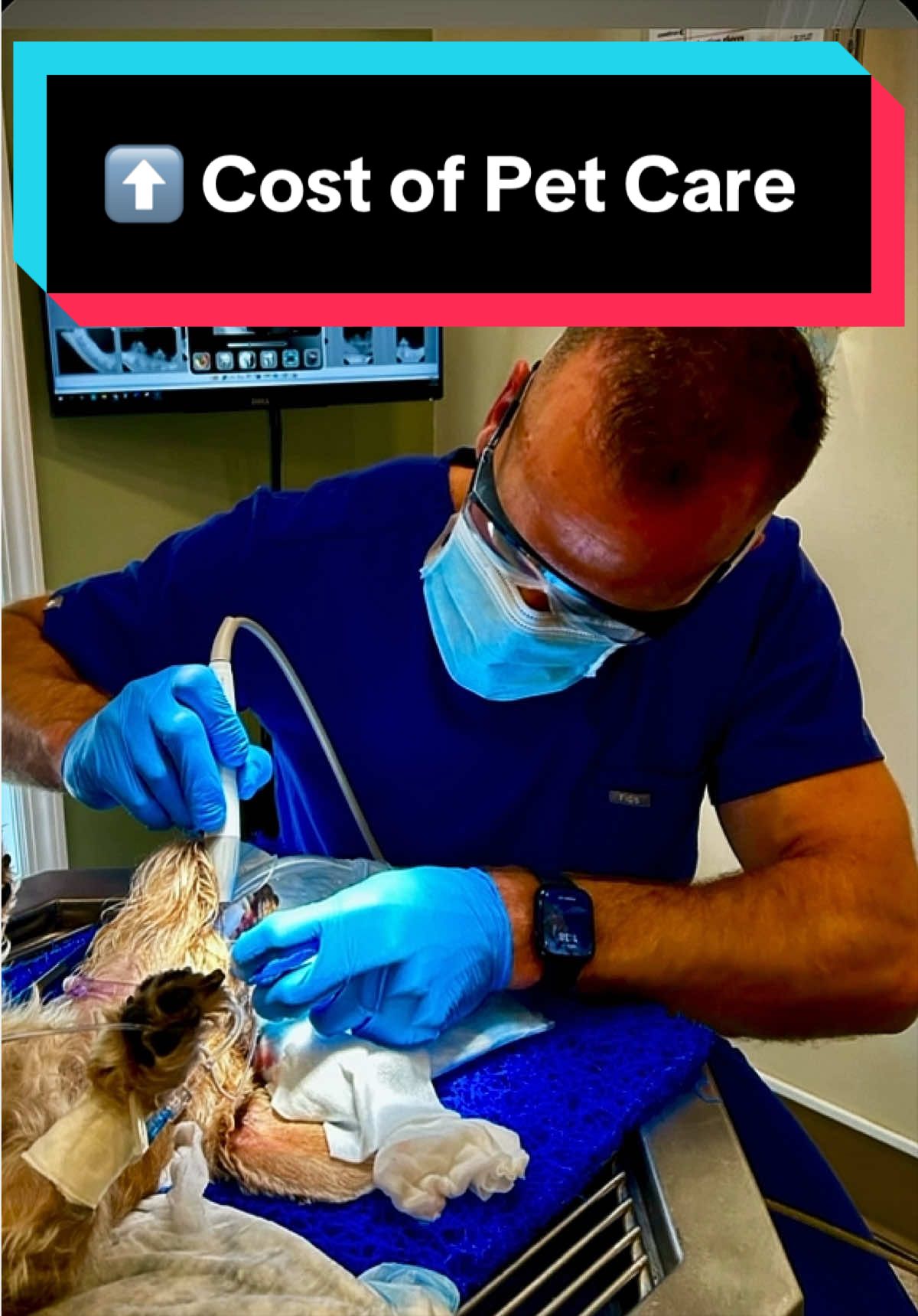 @dr.adam_christman_Veterinarian