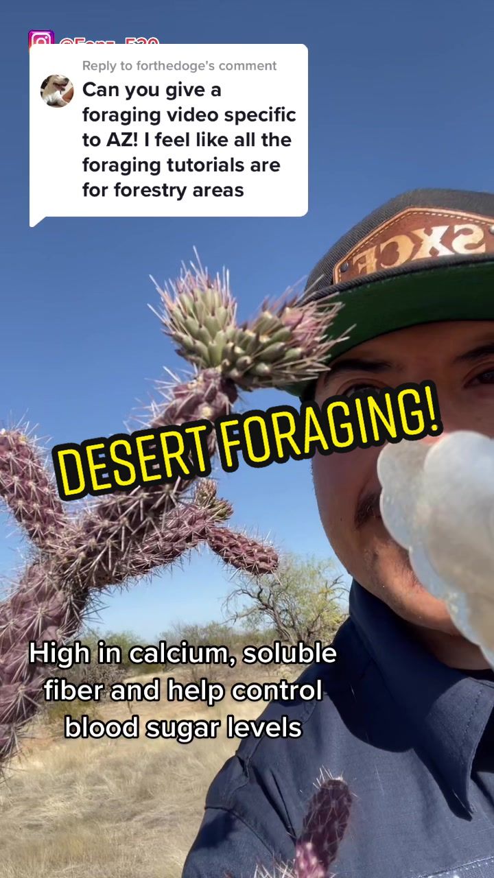 @Fonztradamus