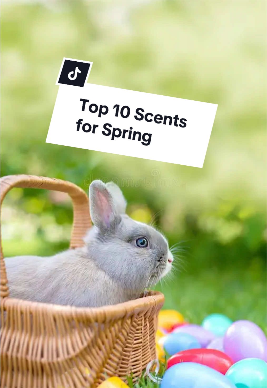 @The Second Scents