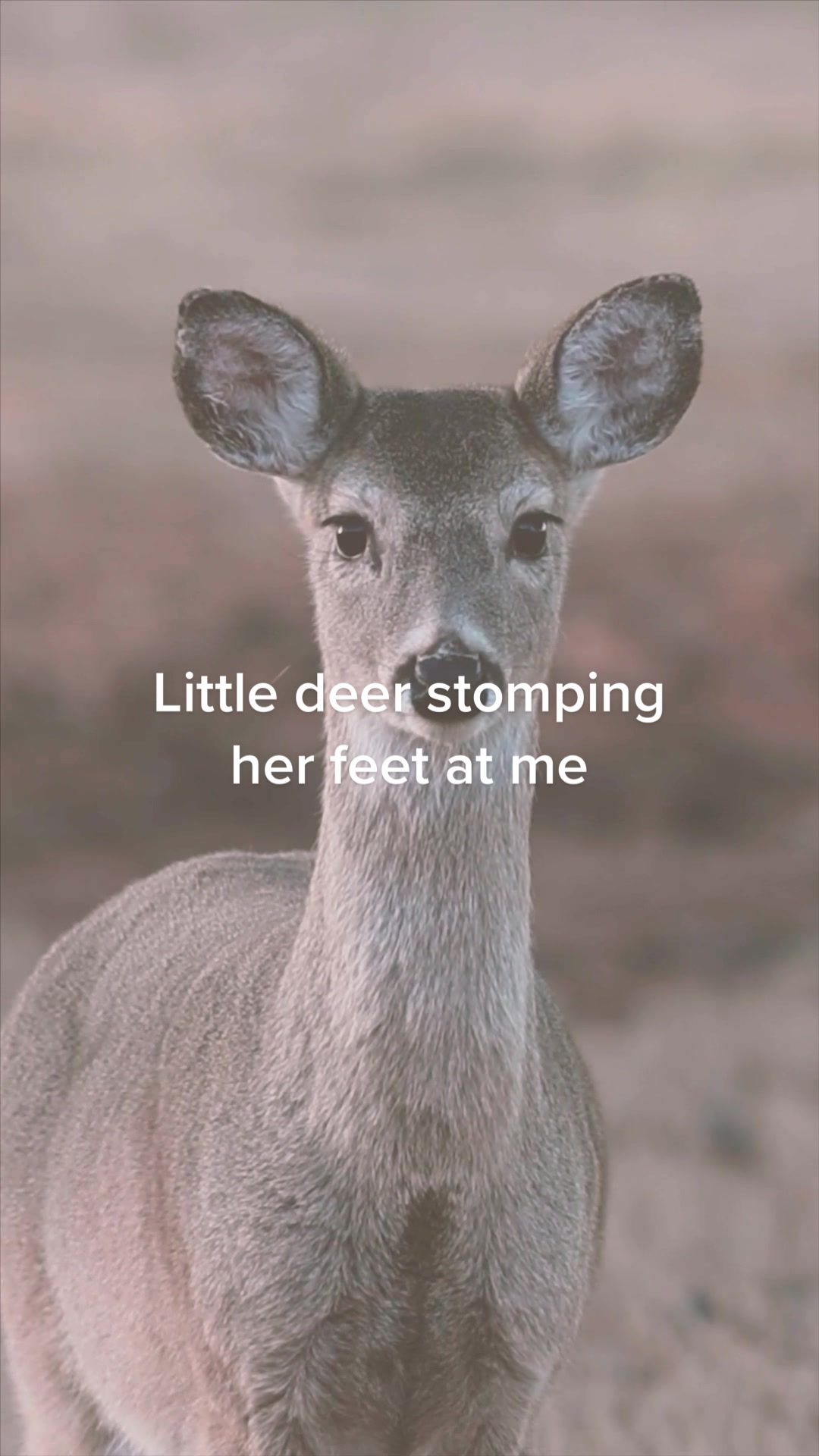 @NATURE ON COMMAND