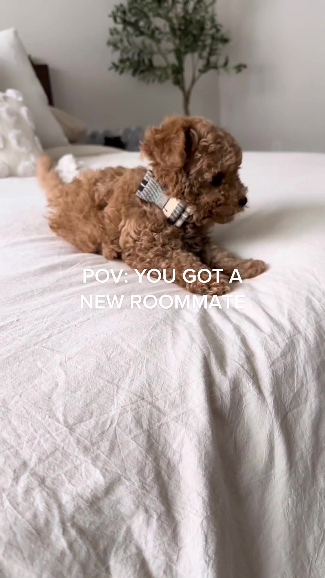 @Angel🤍