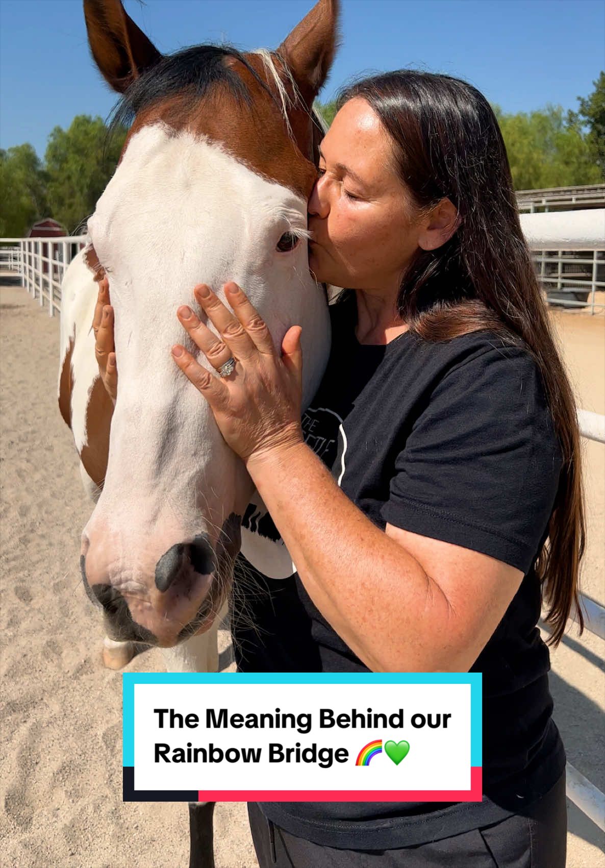 @The Gentle Barn | Sanctuary