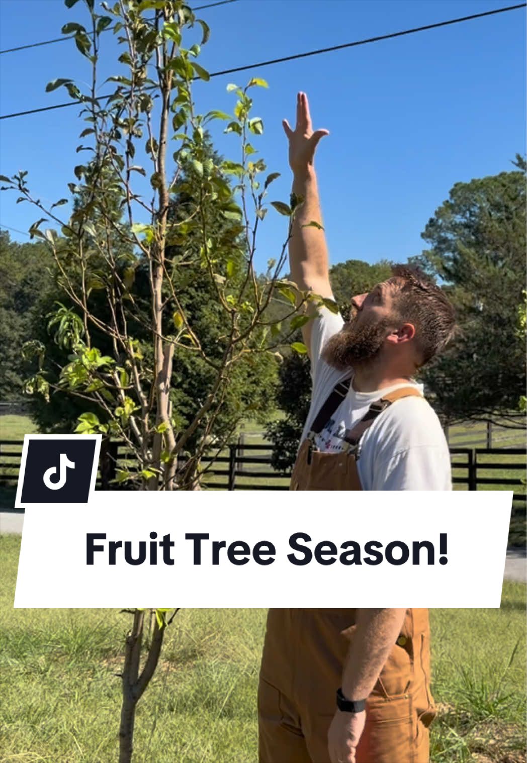 @Bandrhomestead