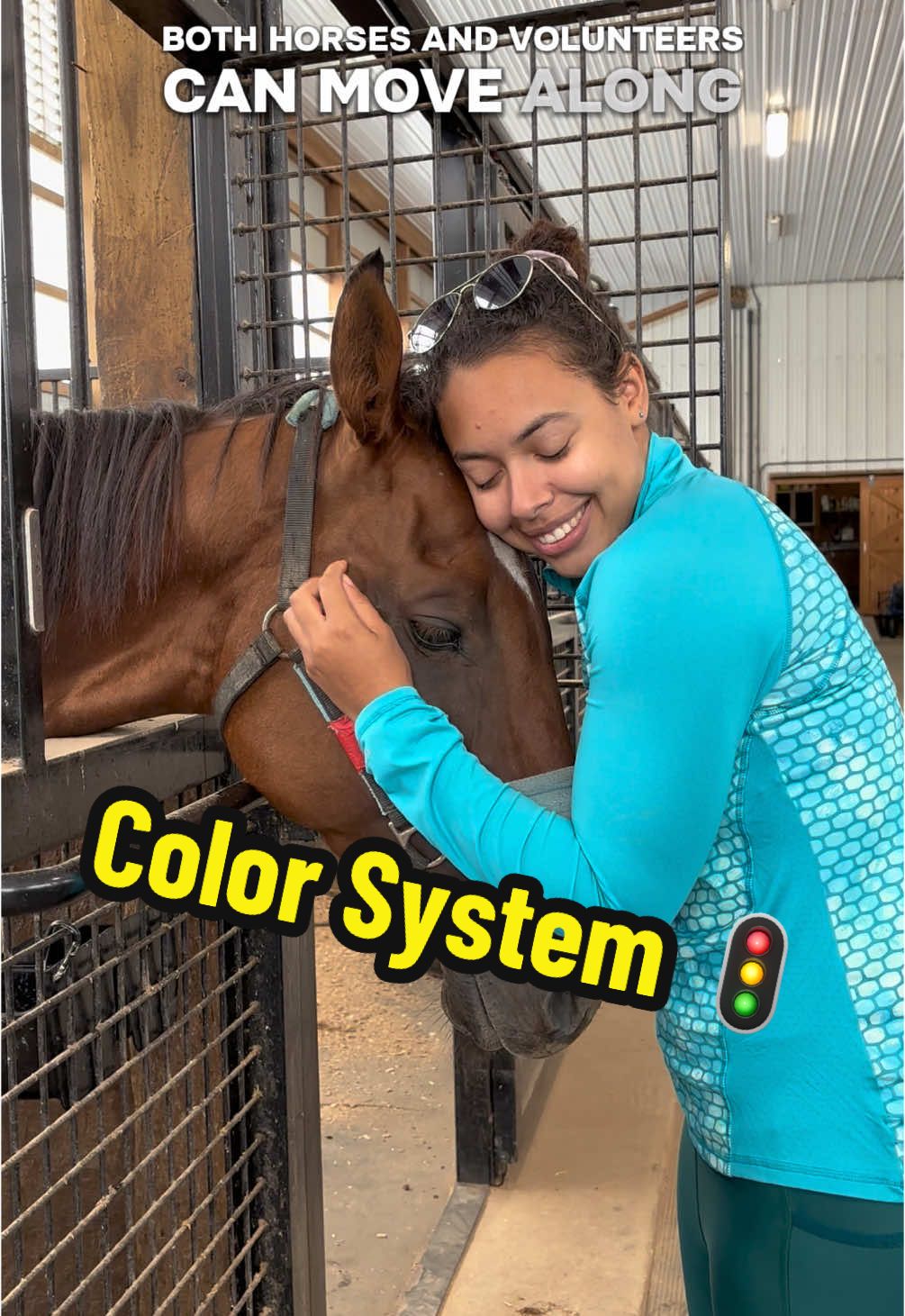 @Days End Farm Horse Rescue