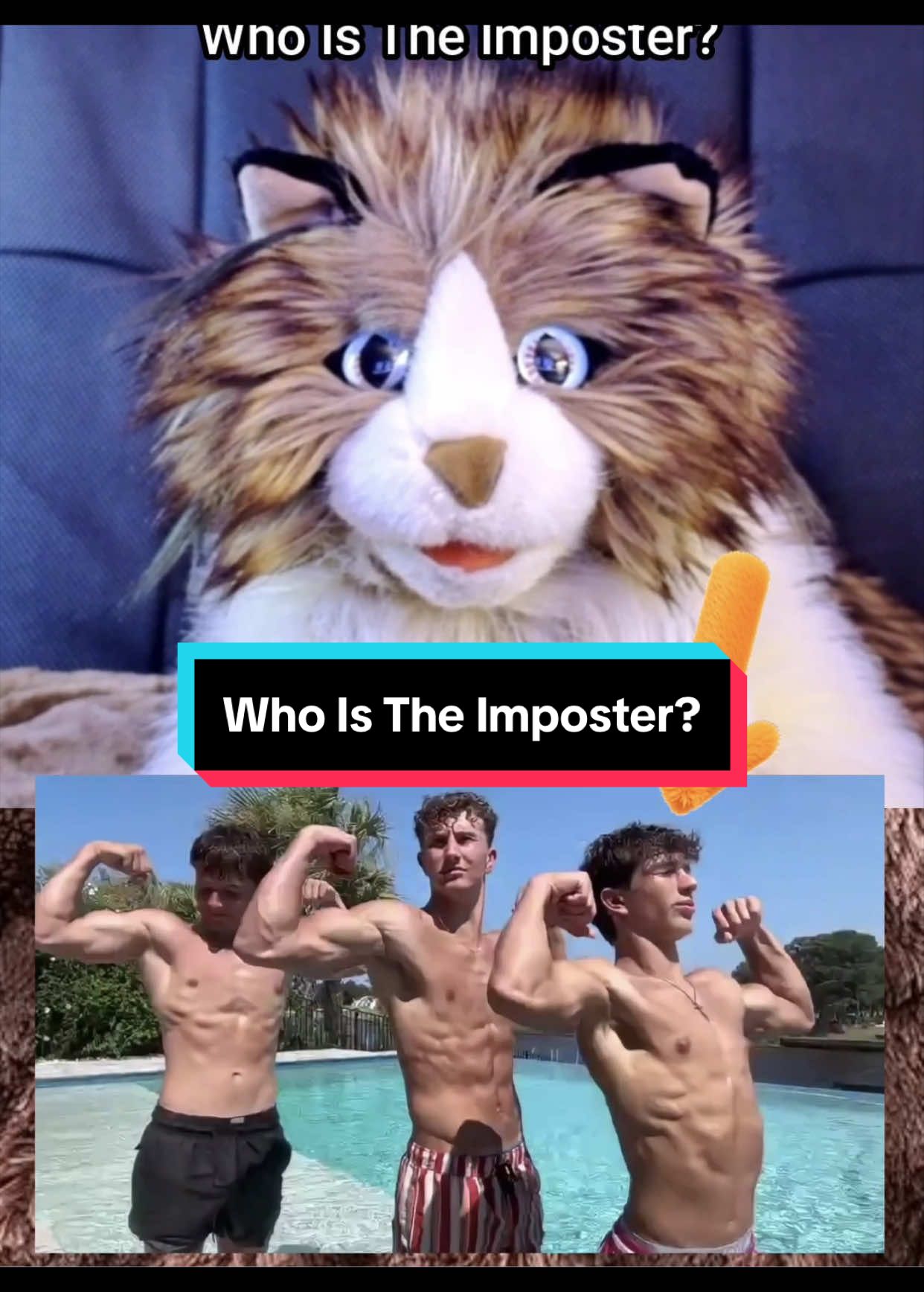 @PeterPrankster