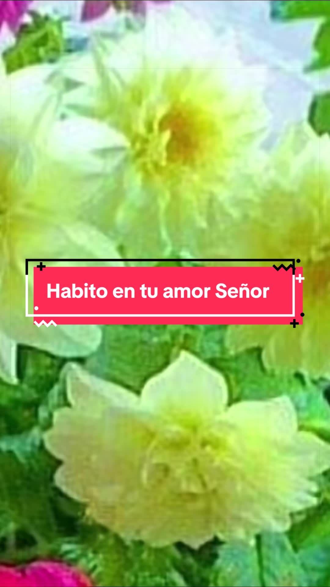 @Loida