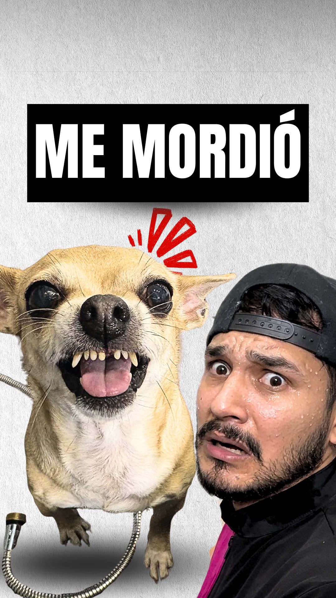 @VICTOR THE GROOMER