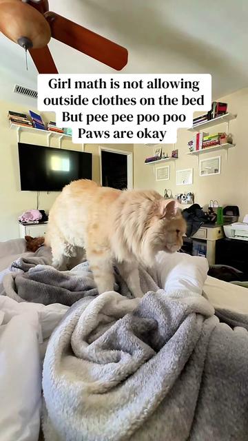 @Sonnyboy 🐈 Staci RN
