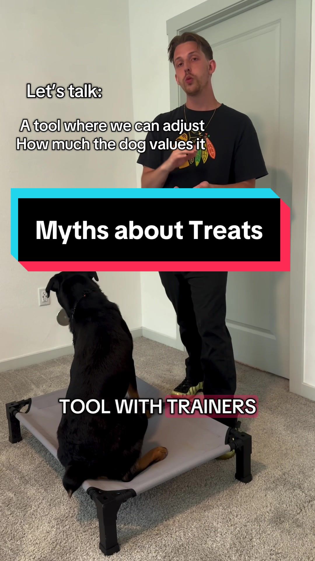 @tylerthek9trainer