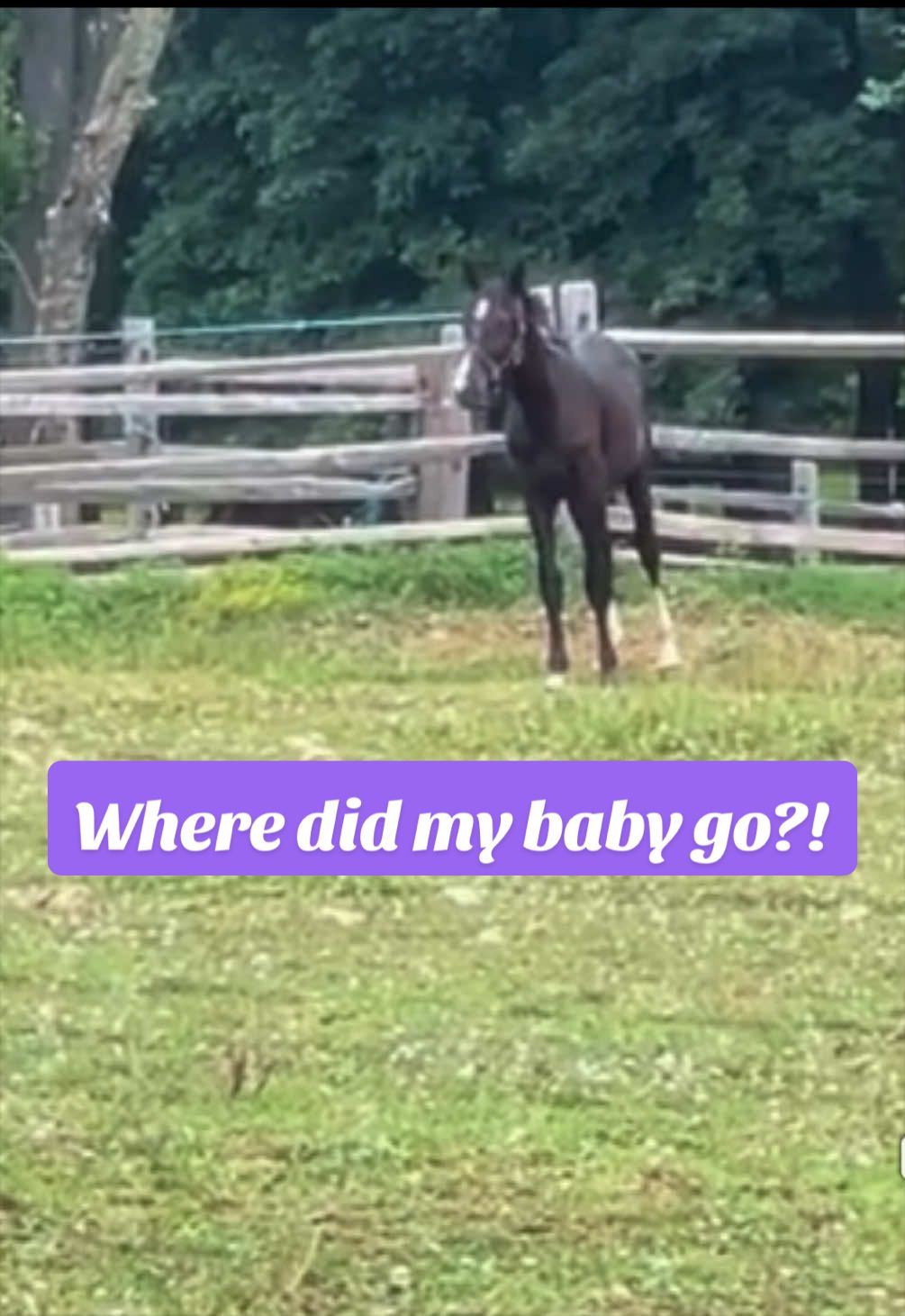 @Maria |🦄 Mom