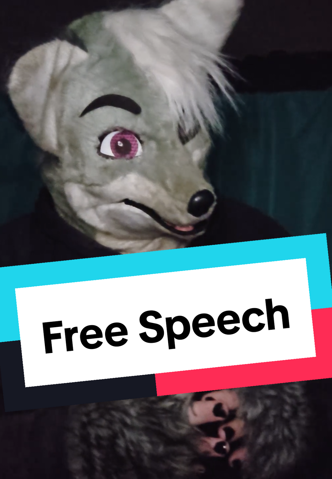 @kilolf5