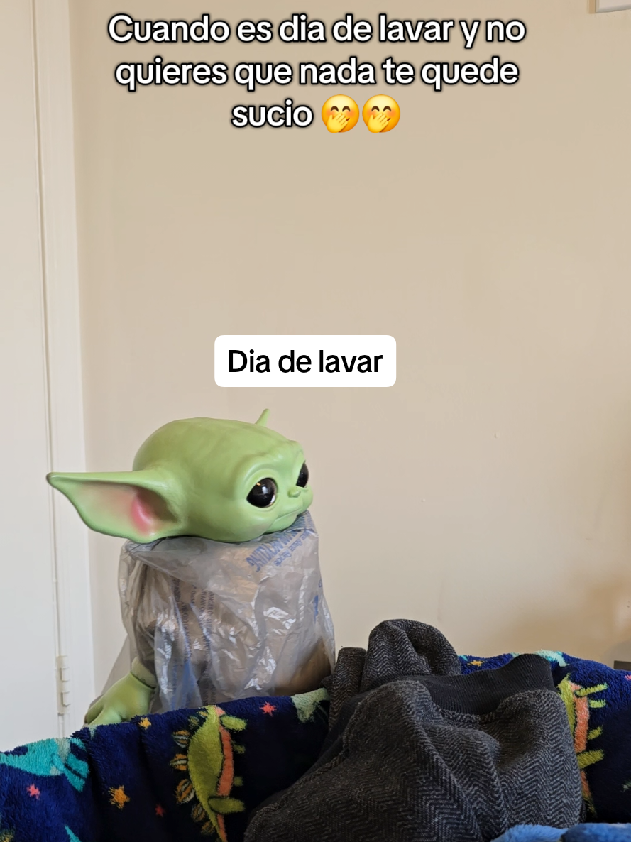 @Yoditabeibi (USA)