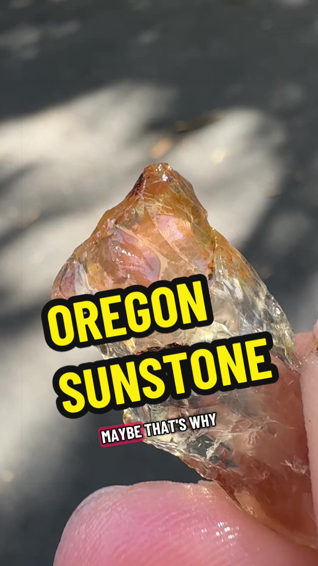 @Erika Martenson