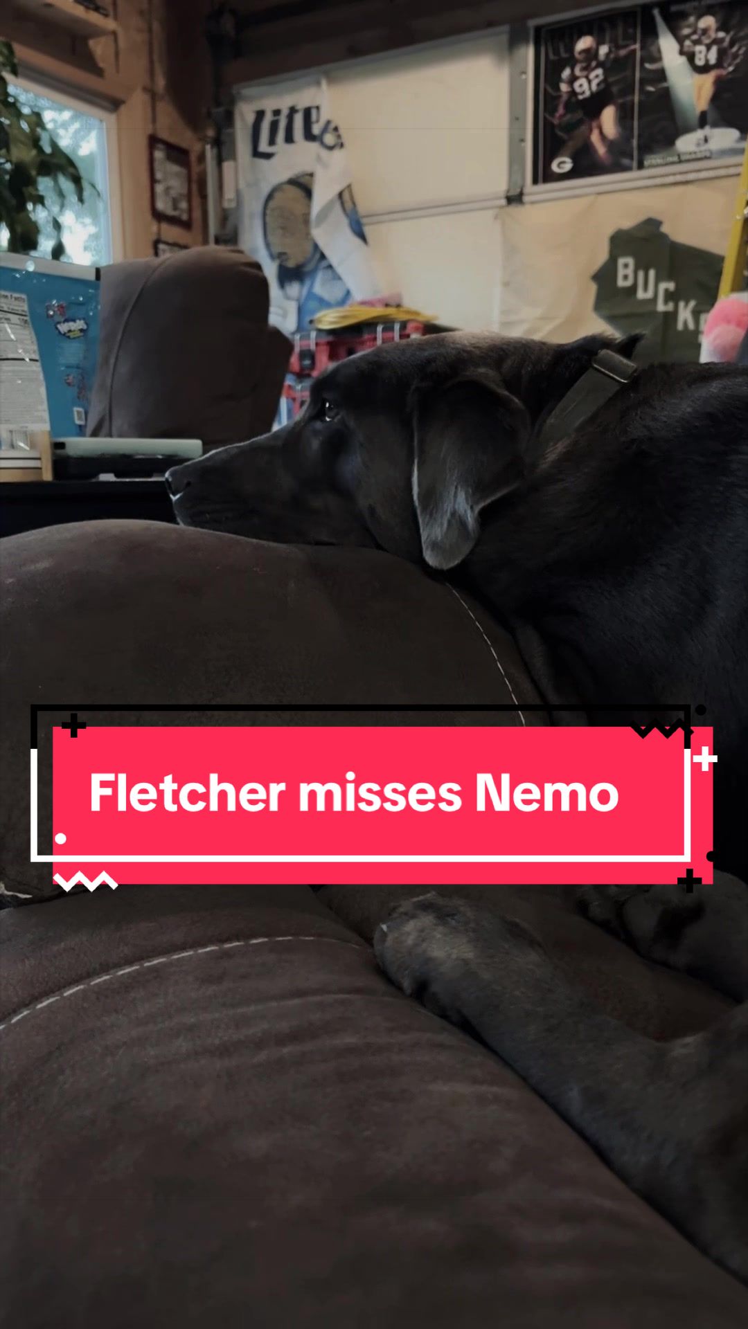 @Nemo, Cali & Fletcher