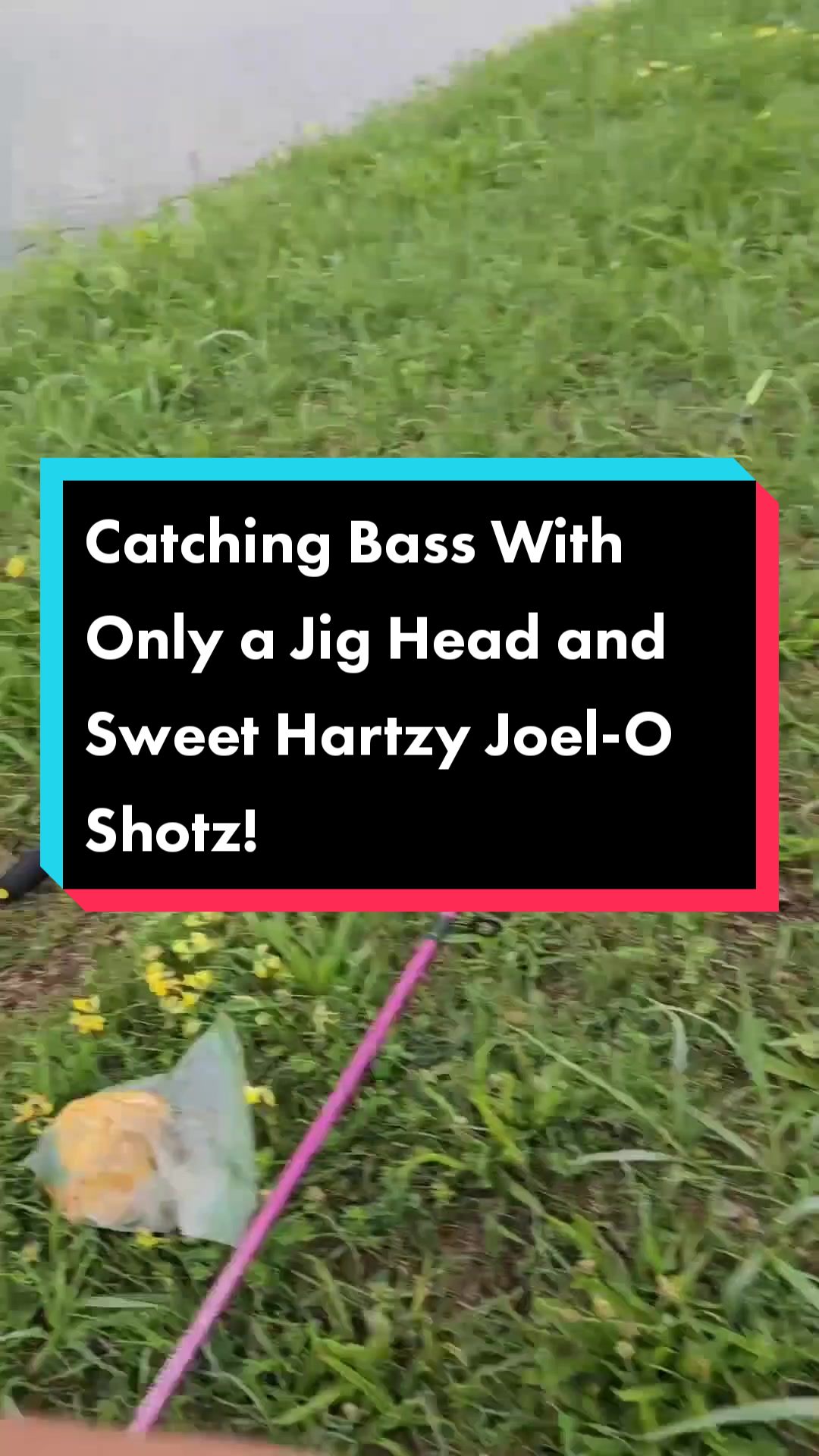 @Joel-O Shotz Fish Bait