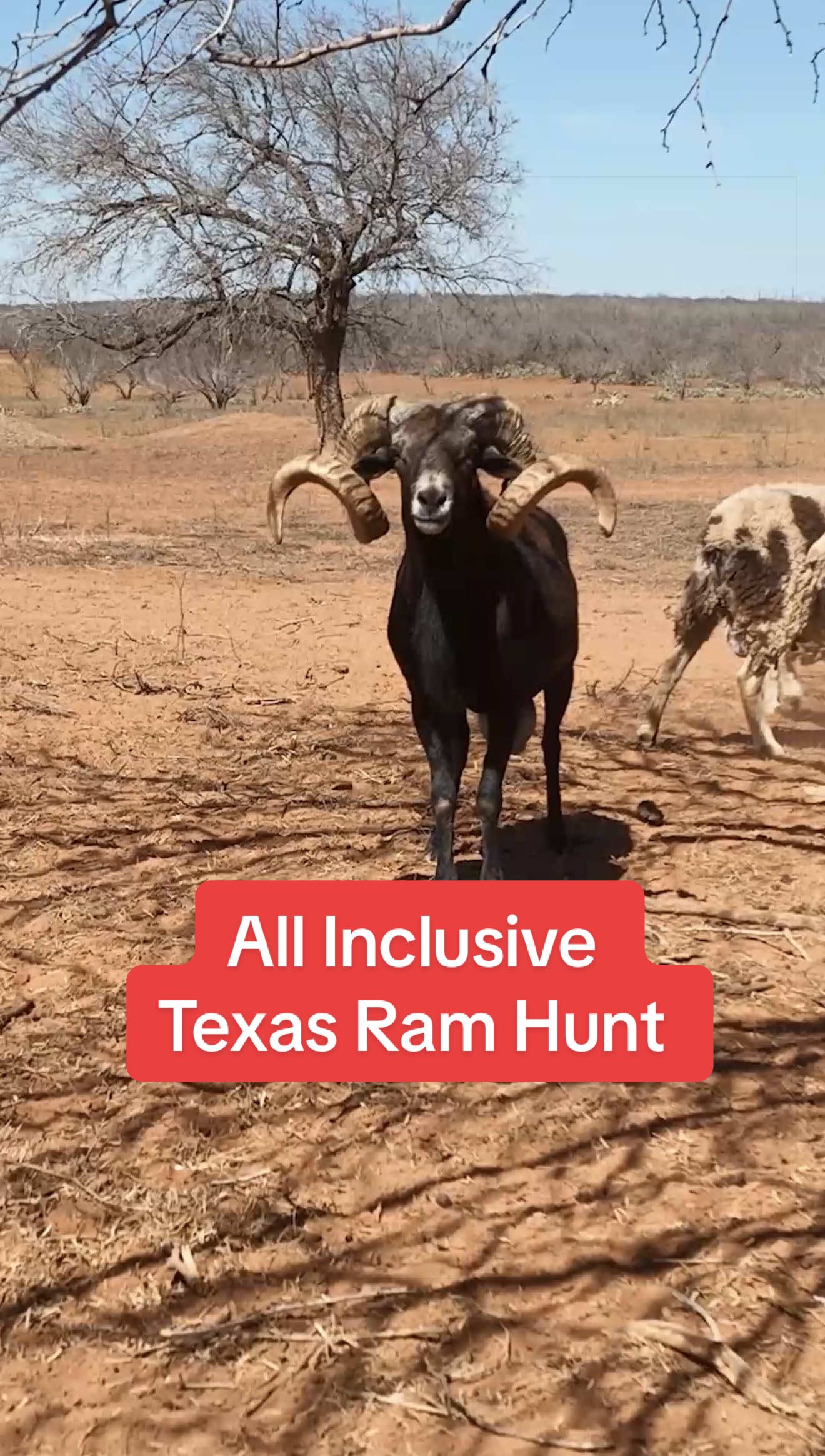 @Texaslandspecialist