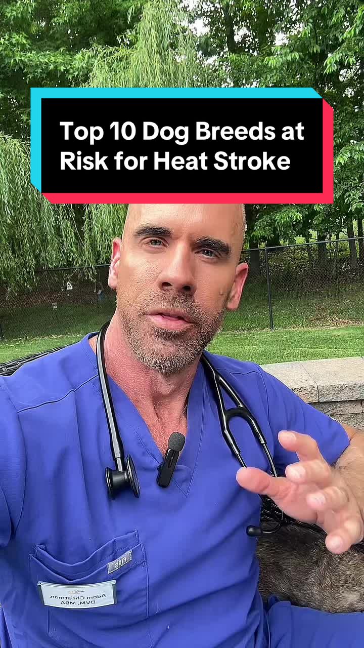@dr.adam_christman_Veterinarian