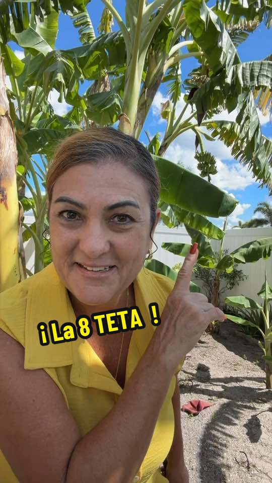 @Aprendiendo con Ana