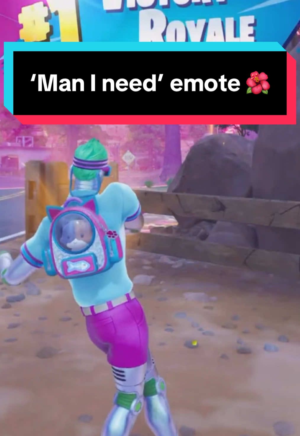 @GamerCat