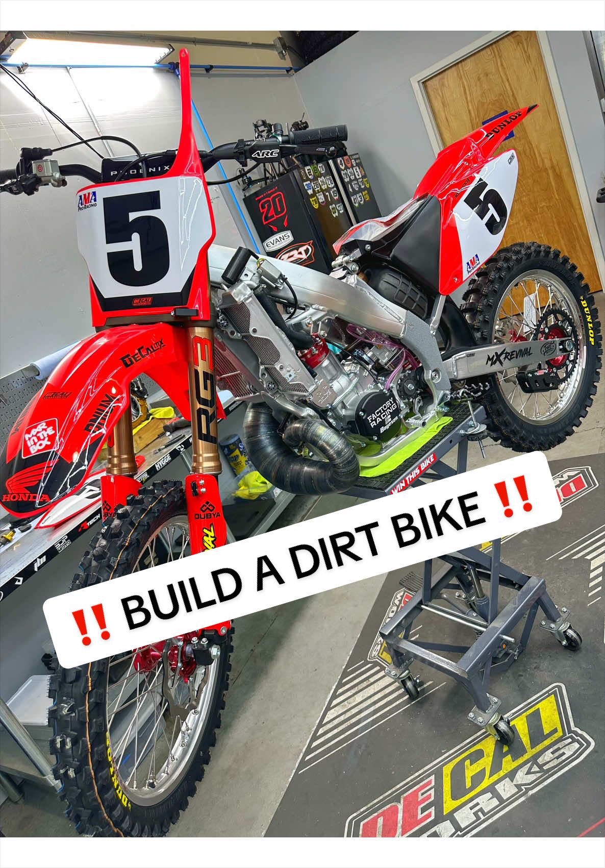 @mXrevival