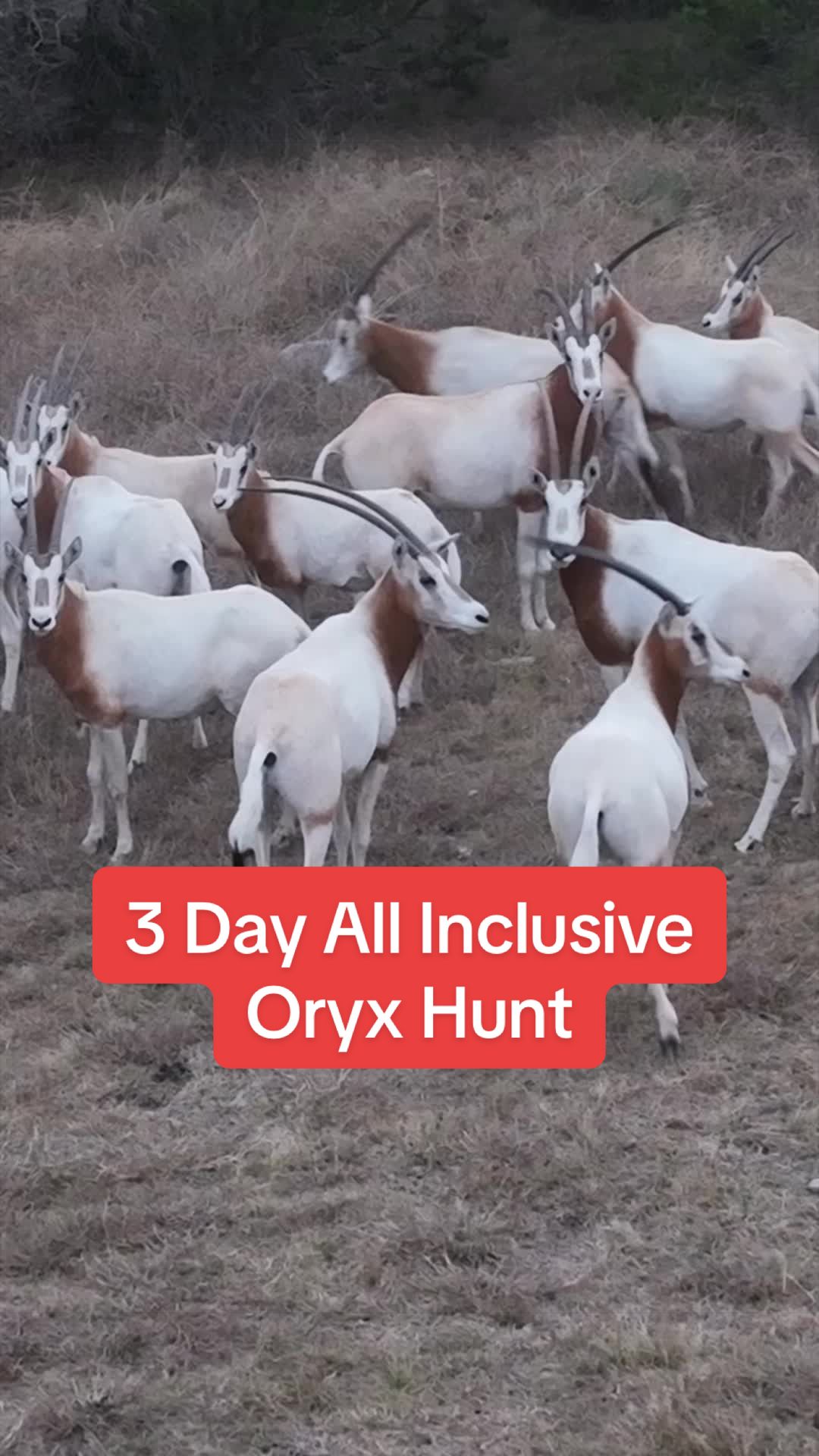@Texaslandspecialist