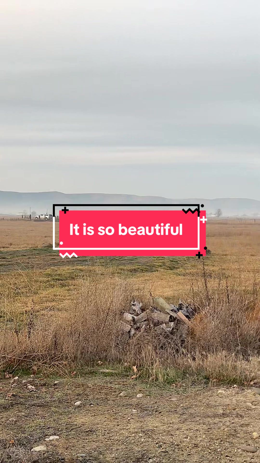 @Cassandra |🩷|