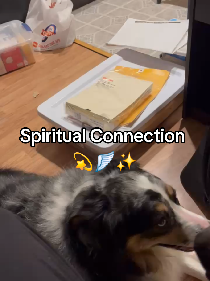 @Spiritually Touched Girl 💫❤️