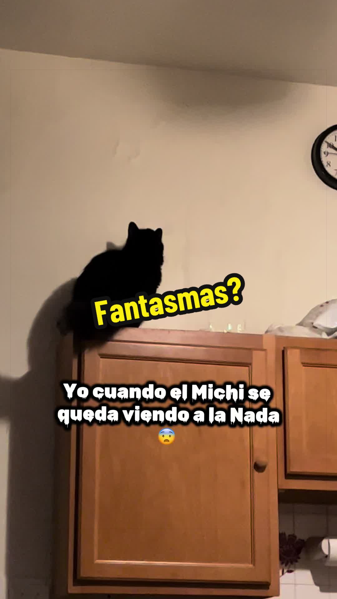 @🦖 MEOWassic World 🌎