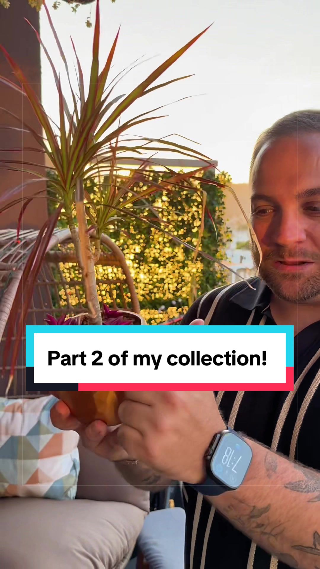 @Brandon The Plant Guy