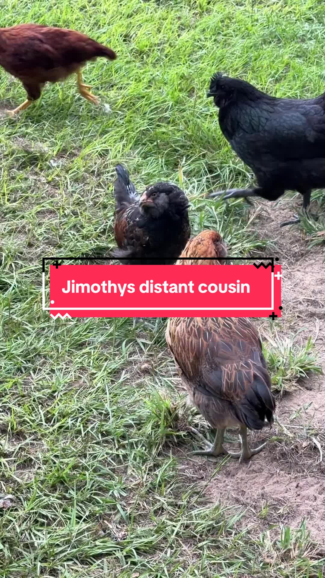 @Jimmy Lee