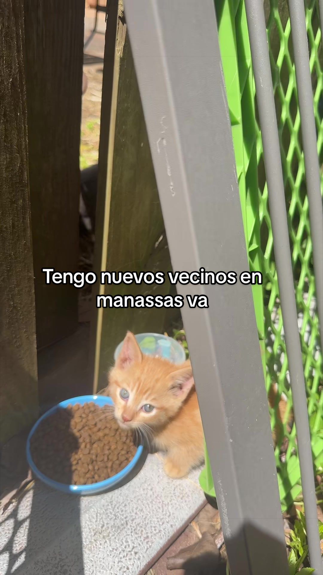 @rigo_ruiz