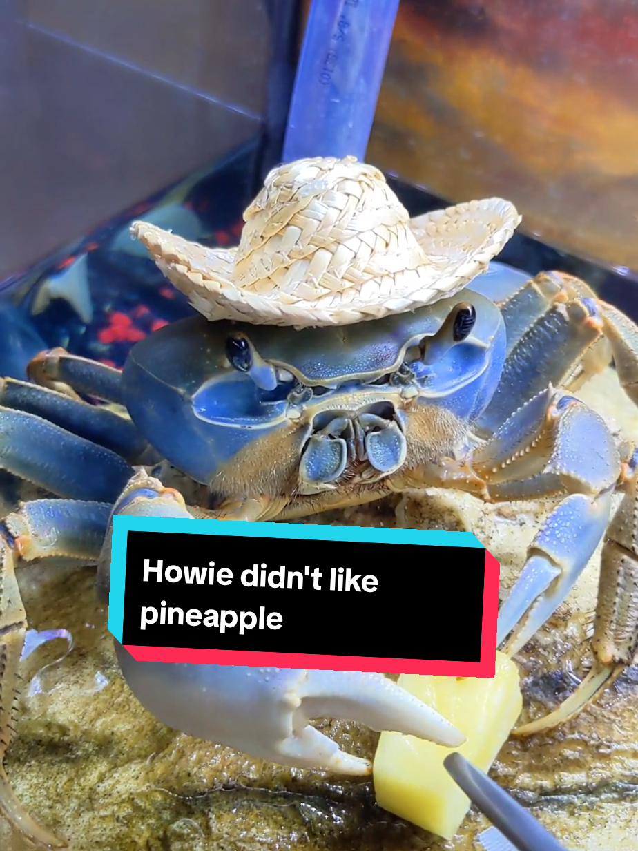 @Howie The Crab