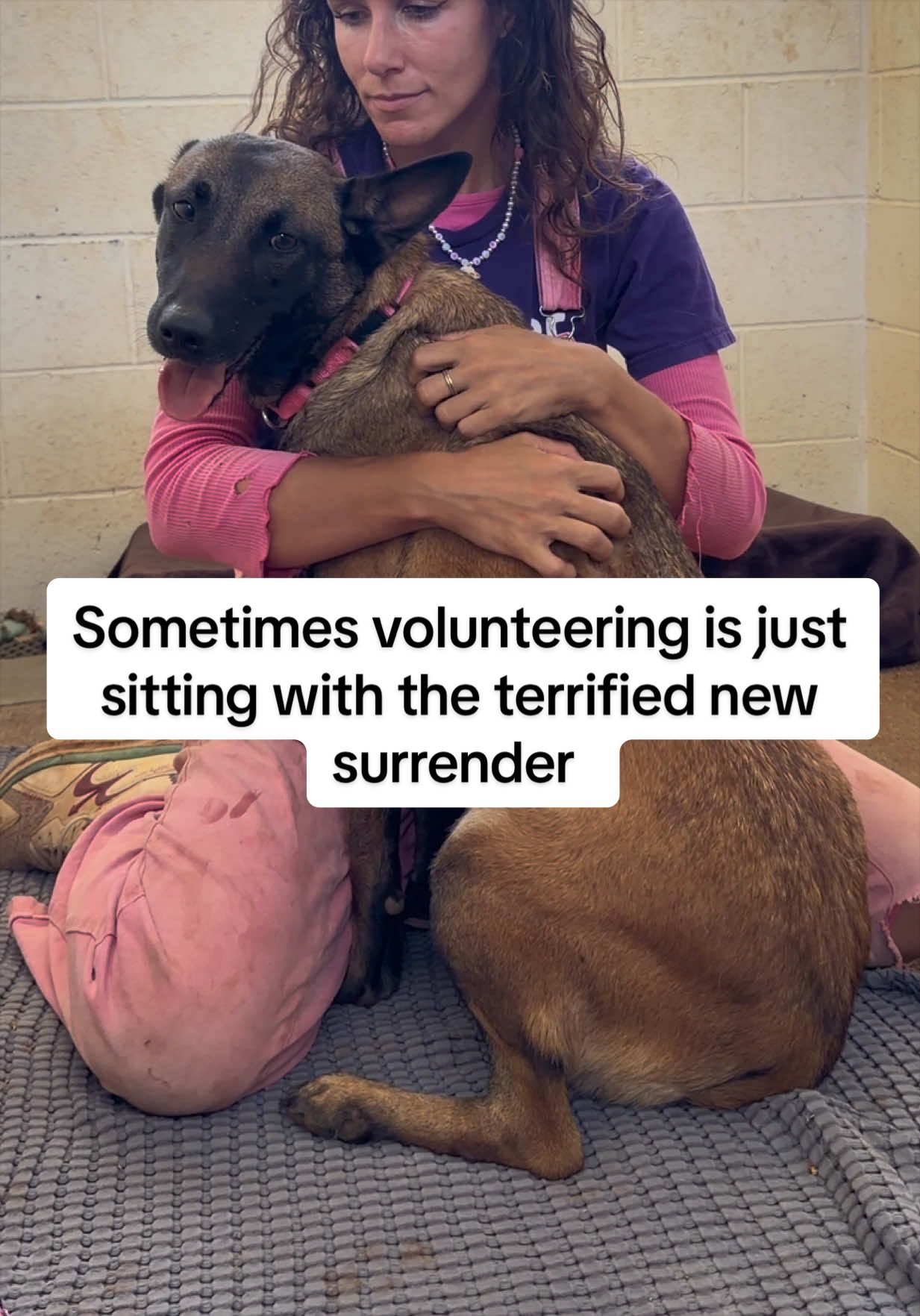 @Cassondra | Maui Shelter Dogs