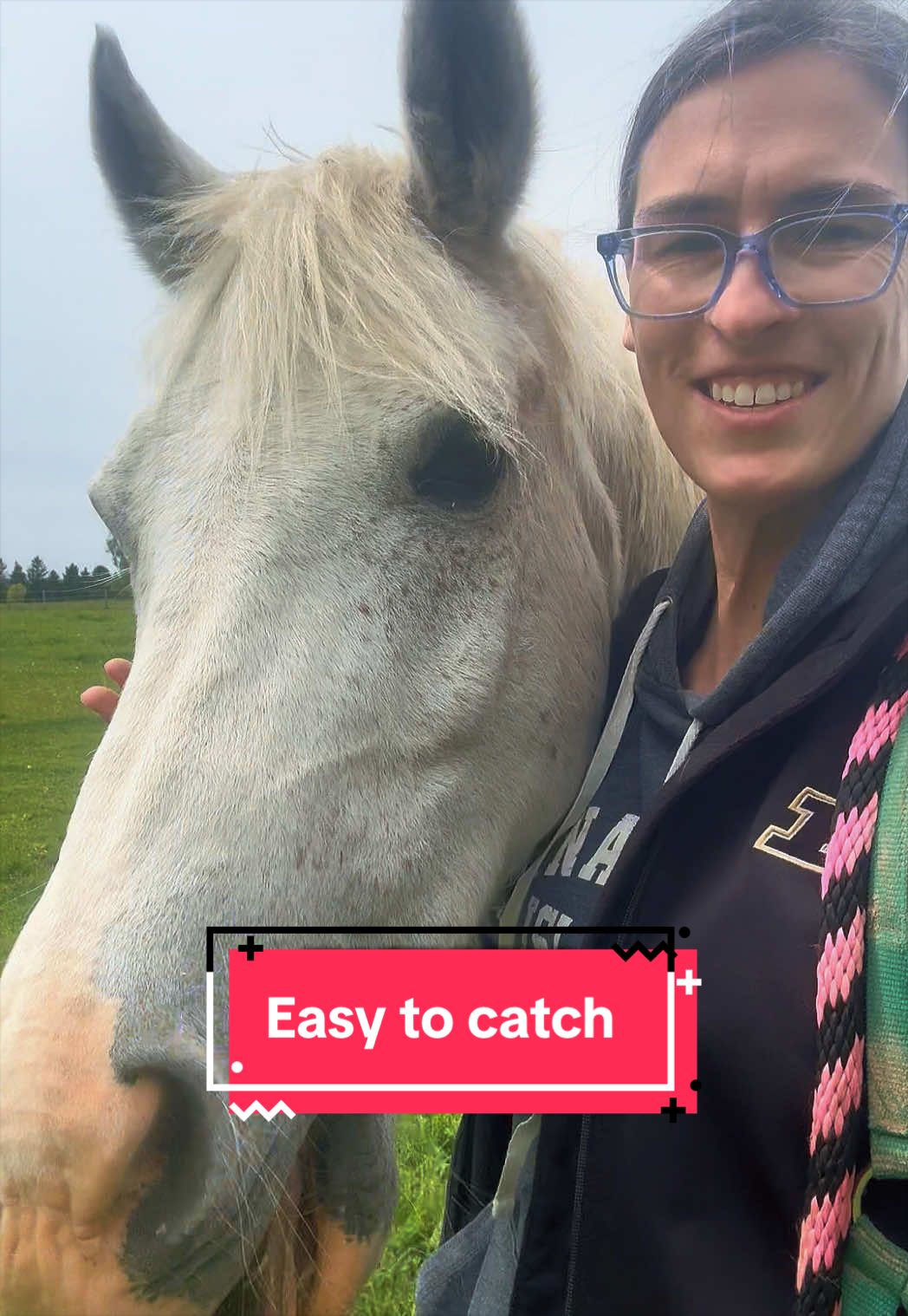 @yourhorseandponyleader