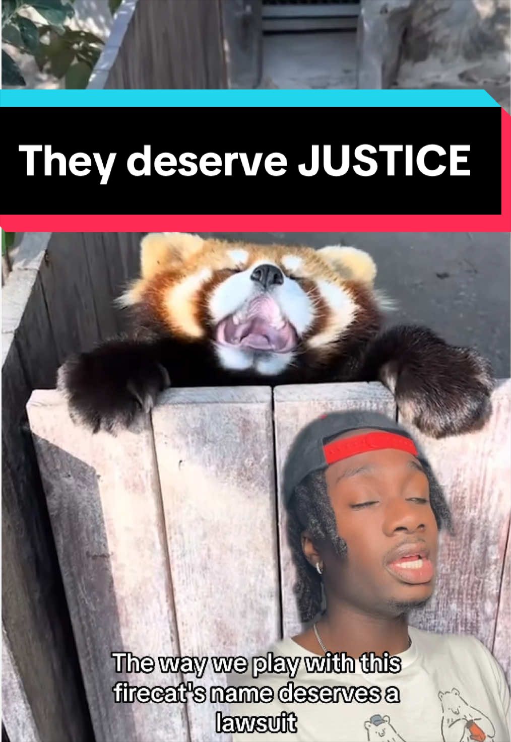 @mndiaye_97