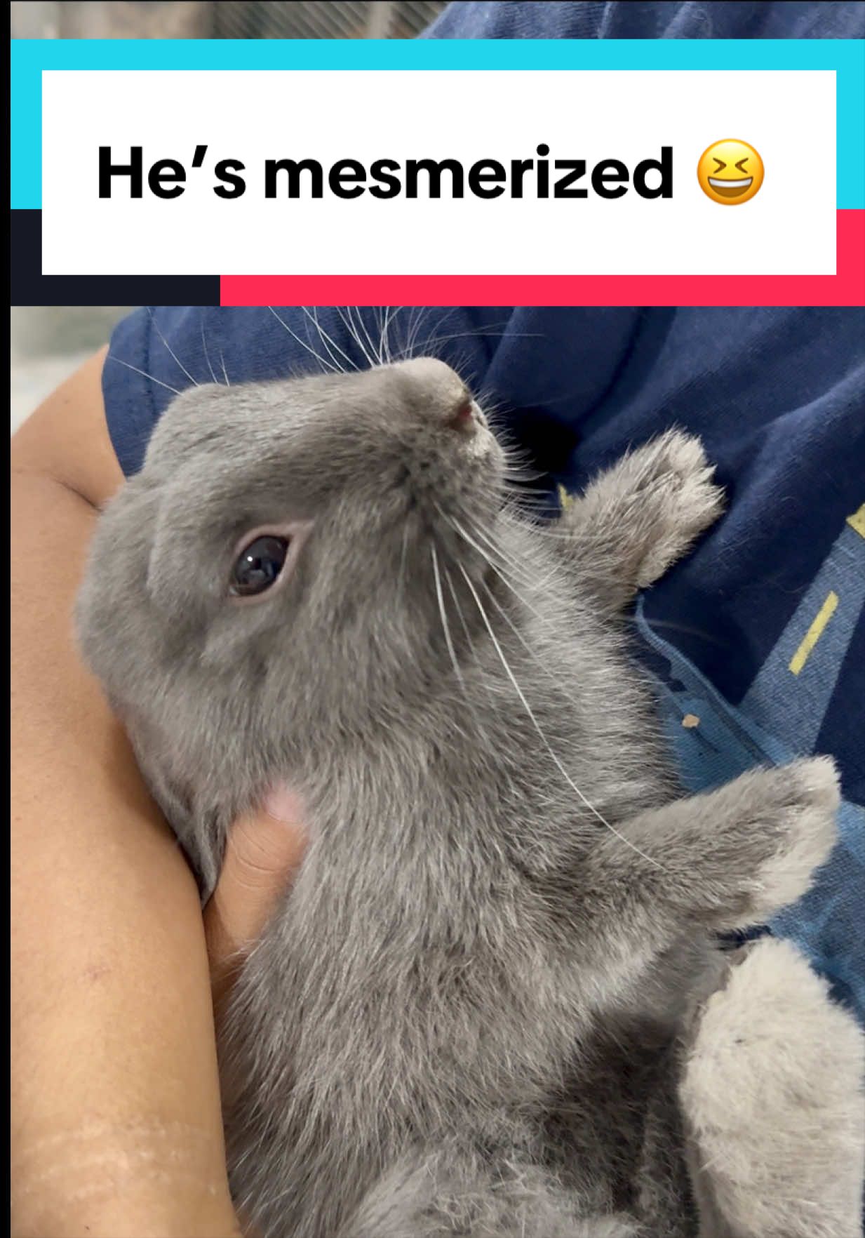 @bunsandhustles