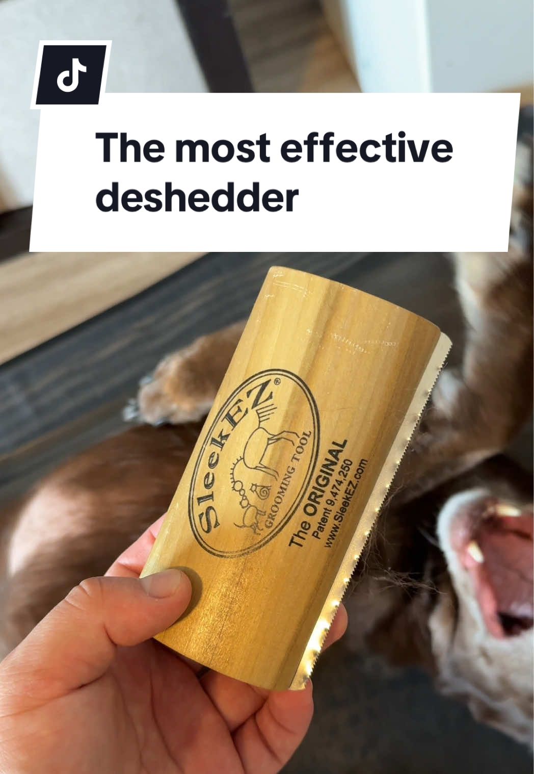 @Cristian the Dog Dad