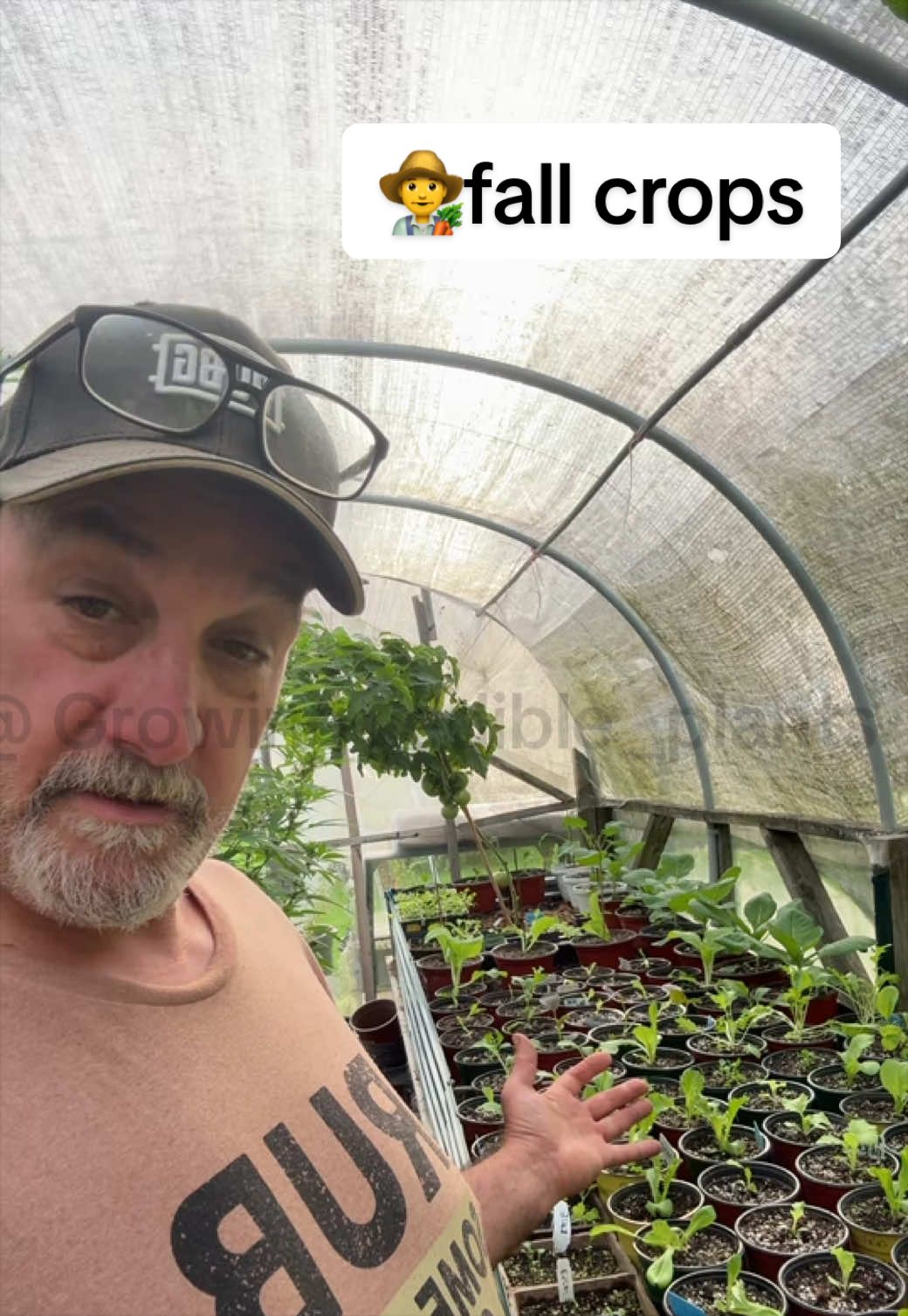 @GROWING_EDIBLE_PLANTS