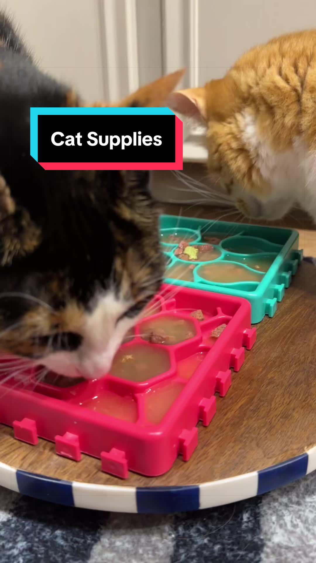 @meloncreamcat