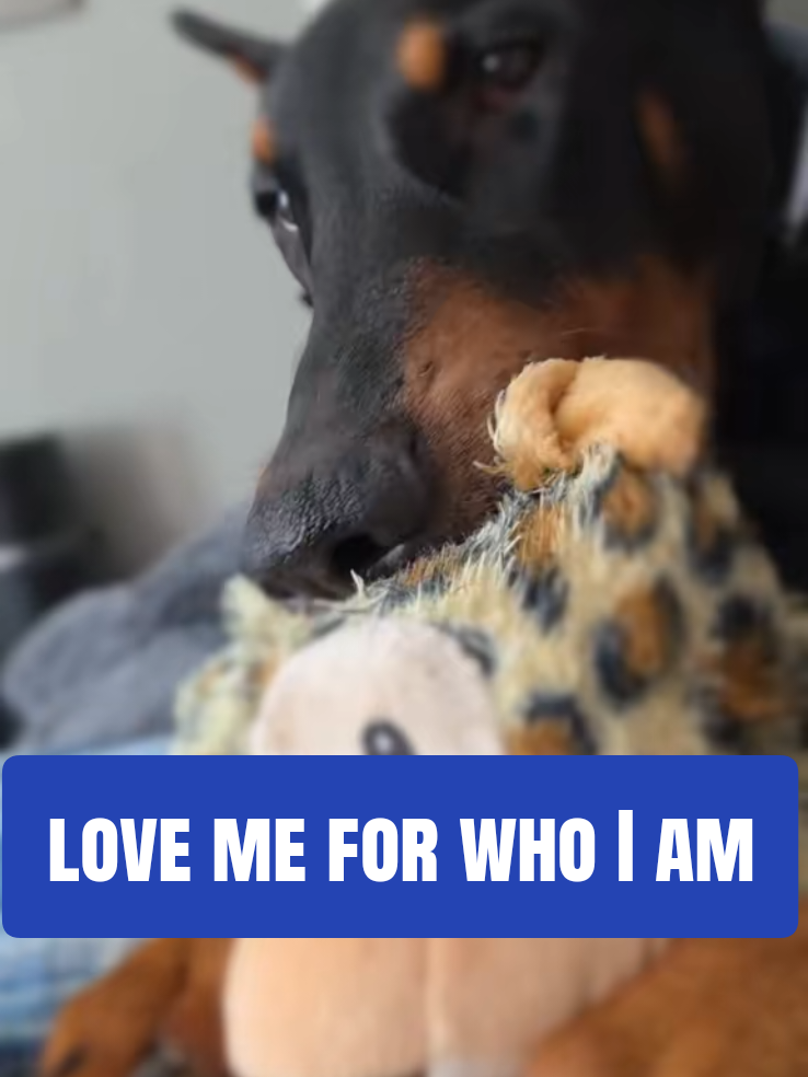 @Dobergoats Cash & Kaia