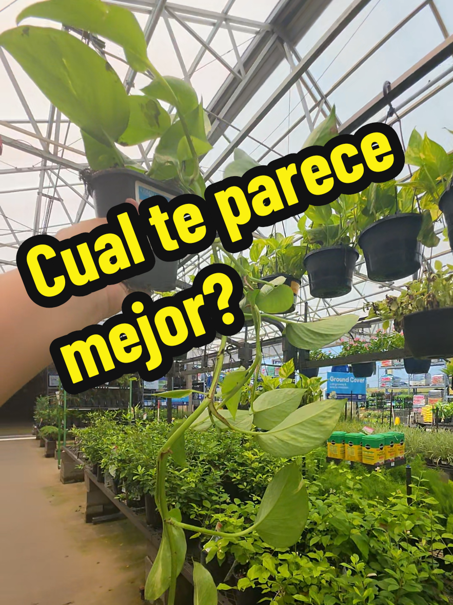 @Mi Rincón Favorito
