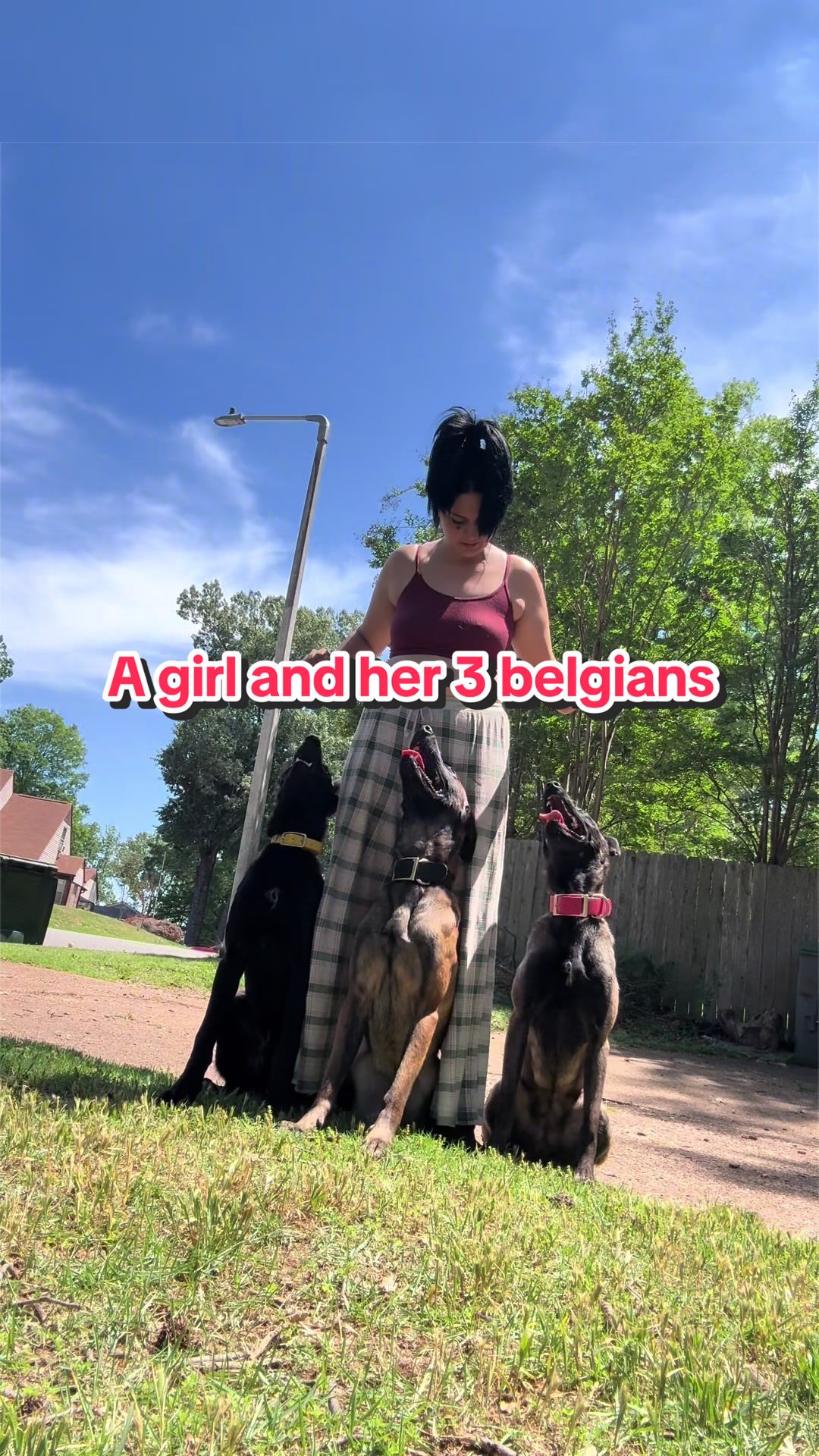 @CRZK9 Dog Training