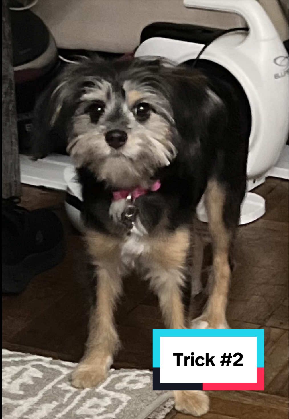 @Jacq Jacq