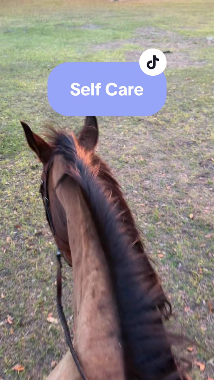@alyssa’s aura🐴