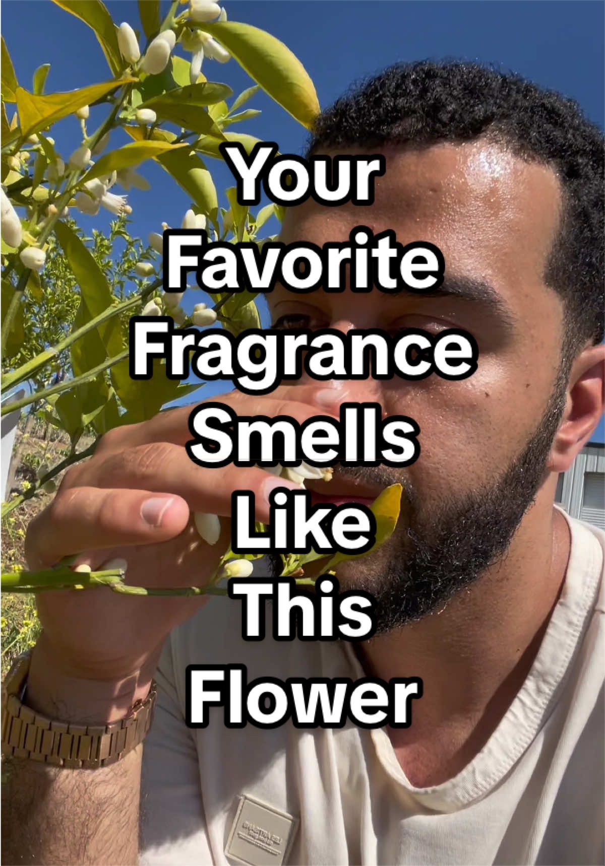 @Nose Your Scent