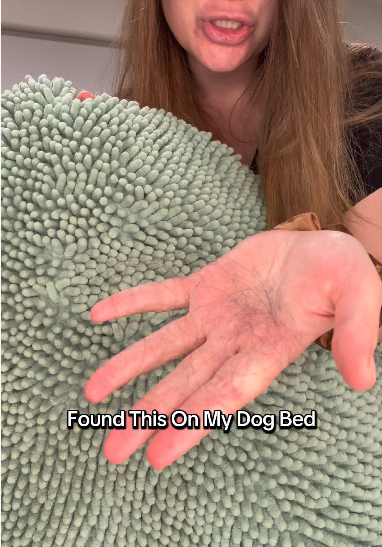 @lifewithgoldenshepherds